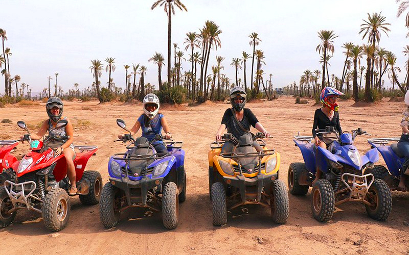 Activity Quad bike tour in the palm grove of Marrakech
