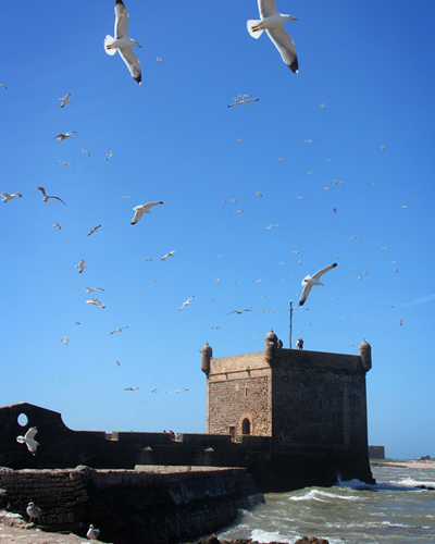 12 Days tour from Marrakech To Essaouira and Desert